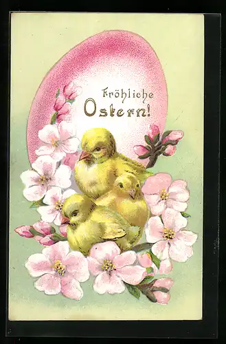 AK Osterküken mit Kirschblüten