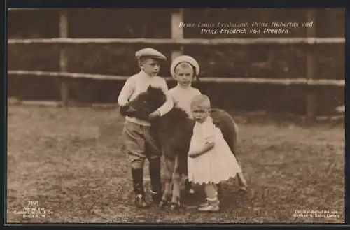 AK Prinz Louis Ferdinand, Prinz Hubertus und PrinzFriedrich von Preussen