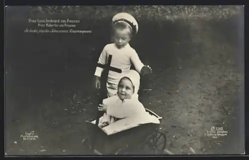 AK Prinz Louis Ferdinand und Prinz Hubertus von Preussen