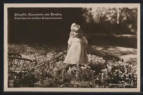 AK Prinzessin Alexandrine von Preussen mit Handwagen