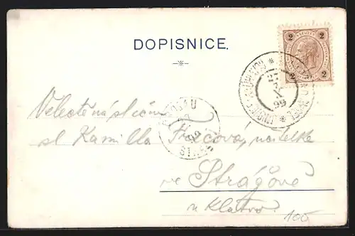 Lithographie Paris, Exposition universelle de 1900, Palais de l`Education