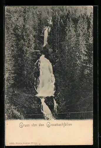 AK Giessbachfälle von Bäumen umgeben