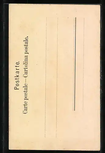 AK Giessbachfälle von Bäumen umgeben