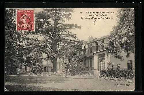 AK Fontenay-aux-Roses, Le vieux Cèdre et les Pelouses