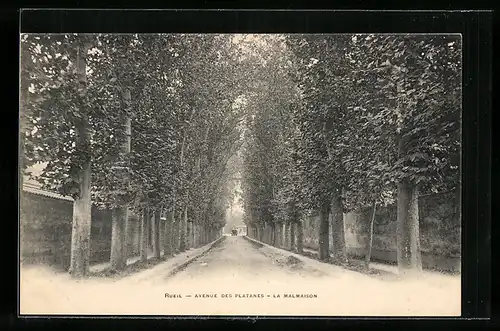 AK Rueil, Avenue des Platanes-La Malmaison