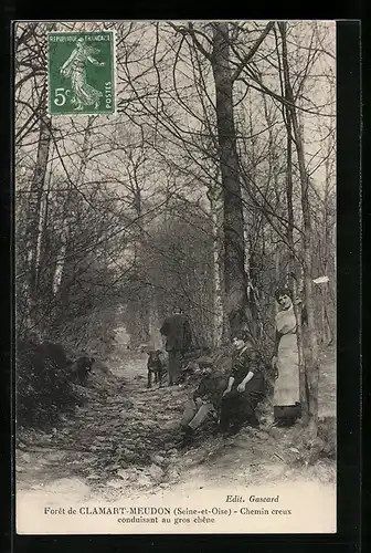 AK Clamart-Meudon, le Foret, Chemin creux conduisant au gros chene
