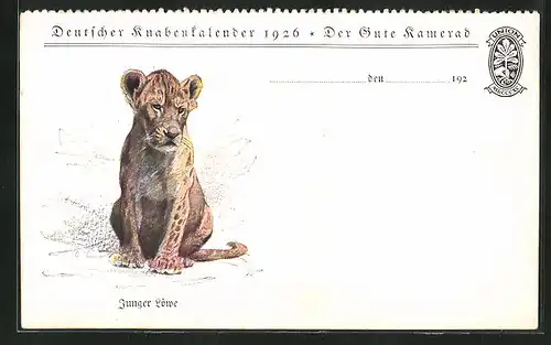 AK Der Gute Kamerad, Deutscher Knabenkalender 1926, Junger Löwe