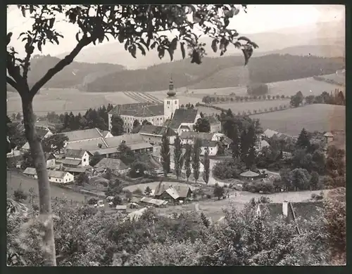 Fotografie Ansicht Köflach-Piber, Kinderstube der Lippizaner, Gestüt der Spanischen Hofreitschule & Schloss Piber