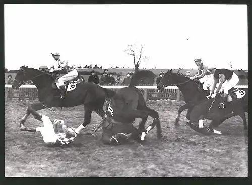 Fotografie Ansicht Cheltenham, Ascot Pferderennen 1939, Grasshopper & Brave Mic stürzen