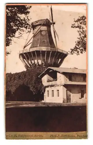 Fotografie P. Herrmann, Potsdam, Ansicht Potsdam, Windmühle von Sanssouci