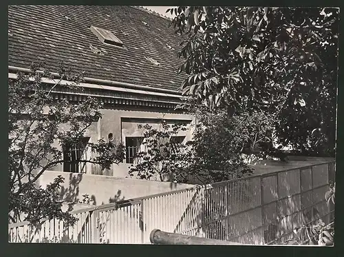 Fotografie Ansicht Wien-Altmannsdorf, Gebäude des Tierschutzverein's Aussenansicht 1939