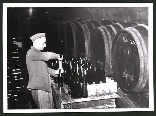 Fotografie Ansicht Mistelbach, Weinkeller der Winzergenossenschaft, Weinausschank für das Winzerfest