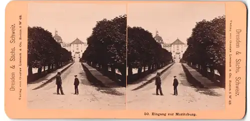 Stereo-Fotografie Gustav Liersch, Berlin, Ansicht Moritzburg, Weg durch Schlosspark zum Schloss Moritzburg
