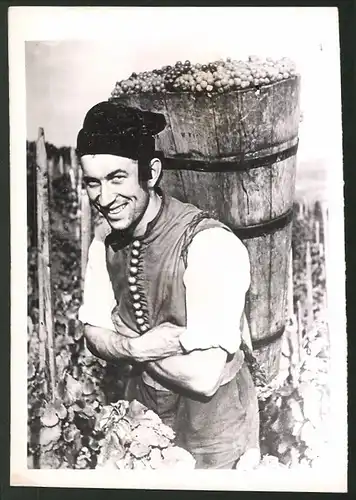Fotografie Schwäbischer Winzer während der Weinlese 1941