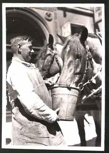 Fotografie Pferdeknecht tränkt Pferde nach schwerer Arbeit 1942