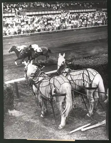 Fotografie Ansicht Chicago, Arlington Park Rennbahn, Zugpferde neben der Strecke beim Pferderennen 1939
