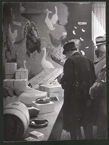 Fotografie Leipzig, Herbstmesse 1940, Geflügelschau der Niederlande