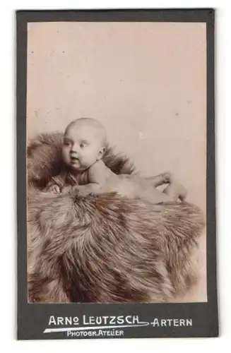 Fotografie Arno Leutzsch, Artern, Portrait niedliches Baby bäuchlings auf Fell liegend