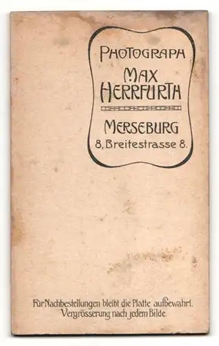 Fotografie Max Herrfurth, Merseburg, Portrait niedlicher Bube im Anzug