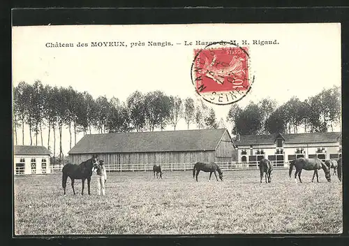 AK Moyeux, Le Château, Le Haras de M. H. Rigaud