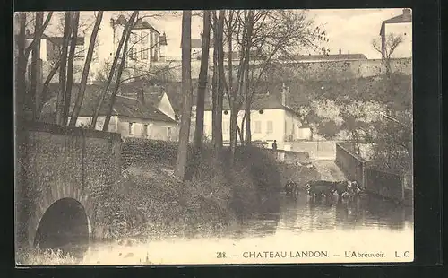 AK Chateau-Landon, L'Abreuvoir, Kuh