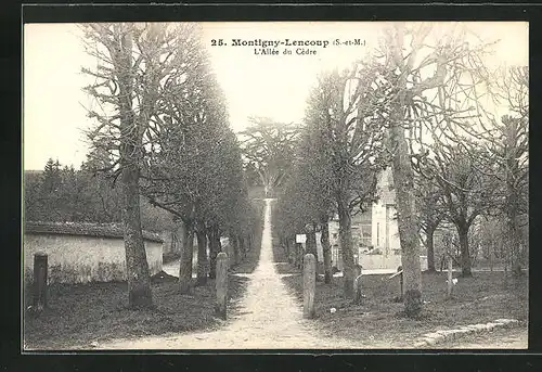 AK Montigny-Lencoup, L`Allée du Cèdre