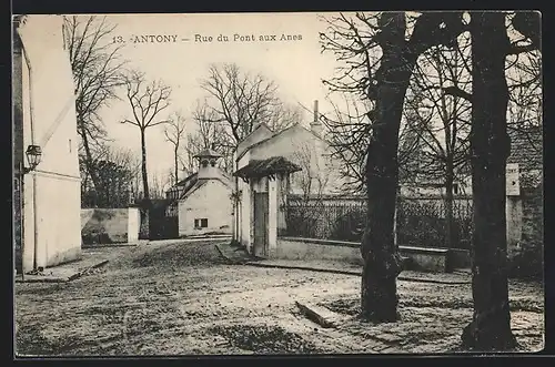 AK Antony, Rue du Pont aux Anes