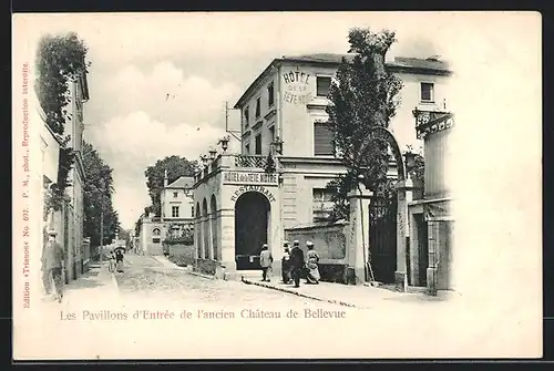 AK Bellevue, Les Pavillons d`Entrèe de l`ancien Chateau