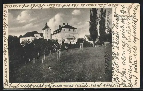 AK Rathsmannsdorf, Blick über Felder zum Schloss