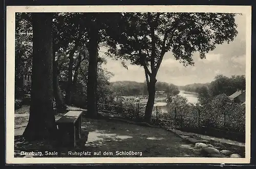 AK Bernburg /Saale, Ruheplatz auf dem Schlossberg