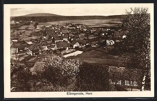 AK Elbingerode /Harz, Totalansicht aus der Vogelschau