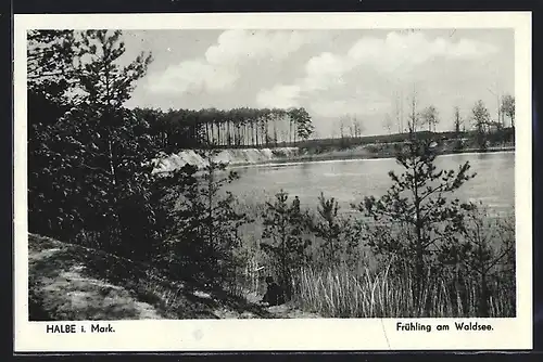 AK Halbe i. Mark, Frühling am Waldsee