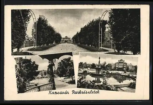 AK Kaposvar, Parkreszletek