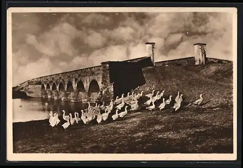 AK Hortobágy, Grosse Brücke