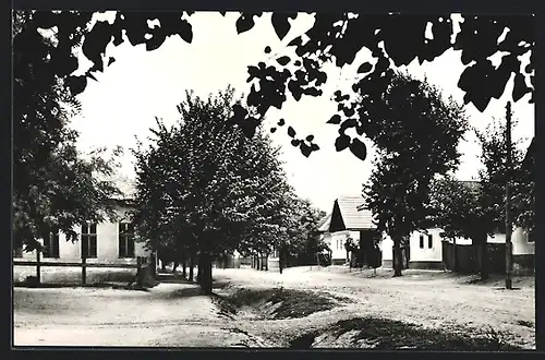 AK Szentlörinckata, Utcareszlet az altalanos iskolaval