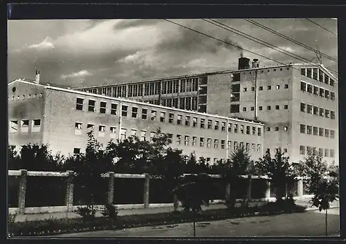 AK Zalaegerszeg, Ruhagyar