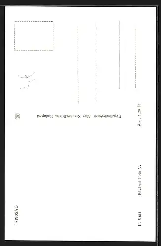 AK Tápióság, Kirche, Strassenpartie mit Wohnhäusern