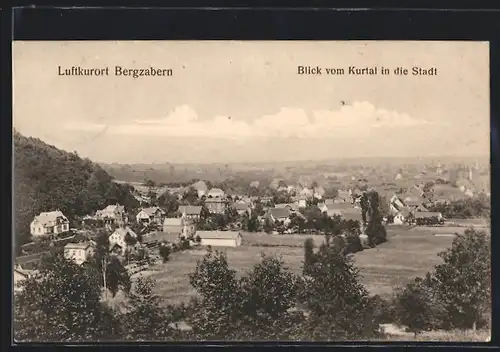 AK Bergzabern, Blick vom Kurtal in die Stadt