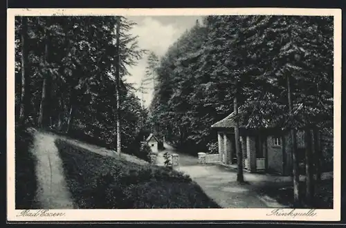 AK Bad Essen, an der Trinkquelle