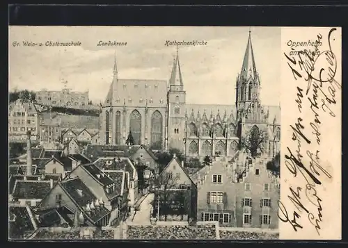 AK Oppenheim a. Rh., Teilansicht mit Weinbauschule Landskrone und Katharinenkirche