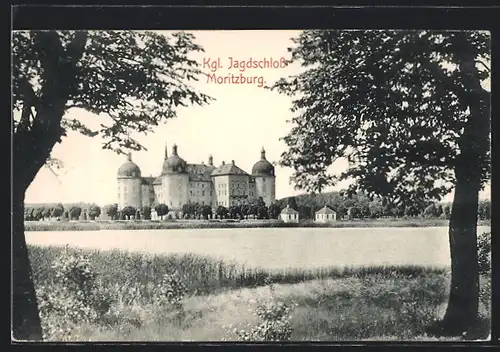 AK Moritzburg, Blick zum Königlichen Jagdschloss