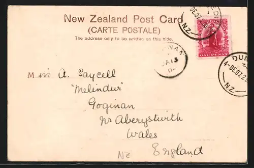 AK Dunedin, The Triangle