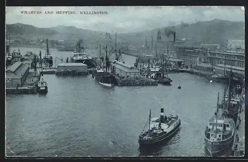 AK Wellington, Wharves and Shipping