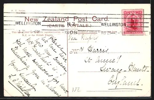 AK Wellington, Wharves and Shipping