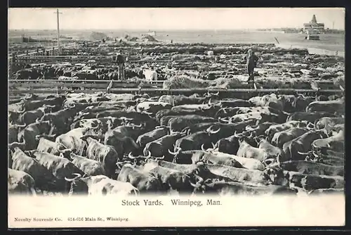 AK Winnipeg, Man., Stock Yards