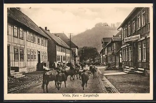 AK Wieda im Harz, Viehtrieb in der Langestrasse