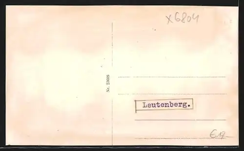 AK Leutenberg, Stadt-Apotheke