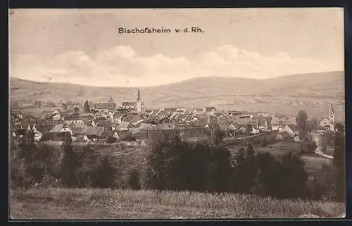 AK Bischofsheim v. d. Rhön, Gesamtansicht mit Hügellandschaft