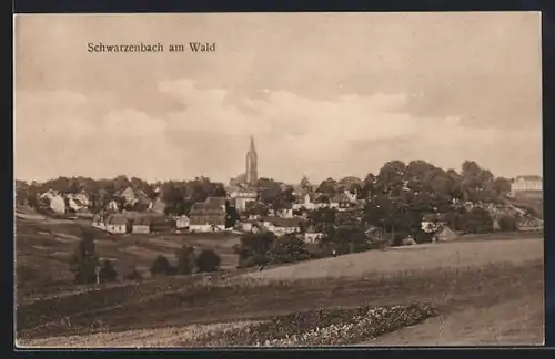 AK Schwarzenbach / Wald, Gesamtansicht