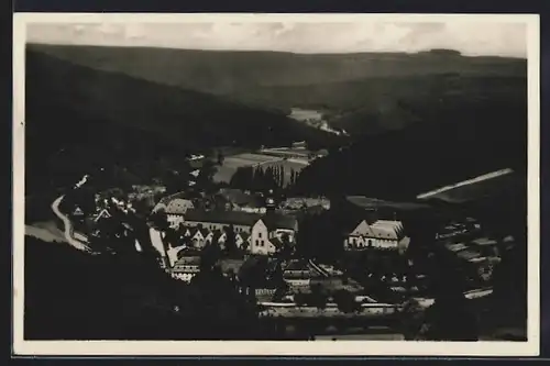 AK Hattenheim / Rheingau, Gesamtansicht